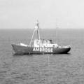 ambrose
